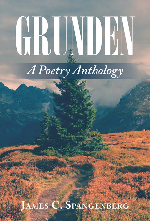 Cover image for book Grunden