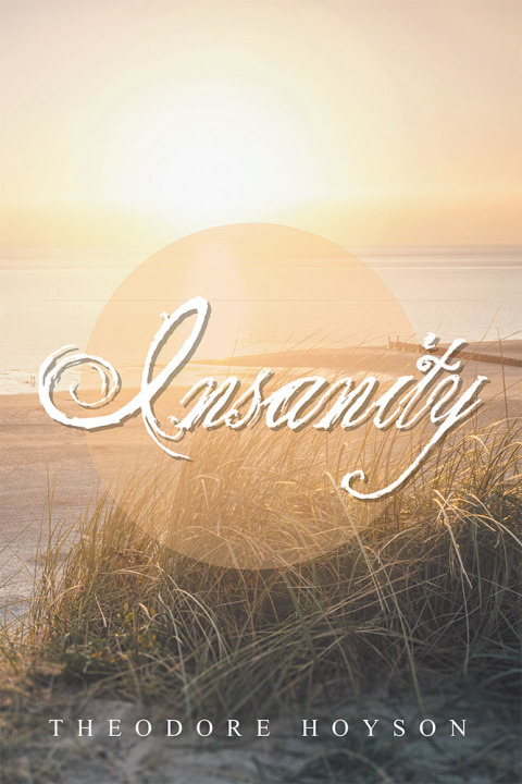 Cover image for book Insanity