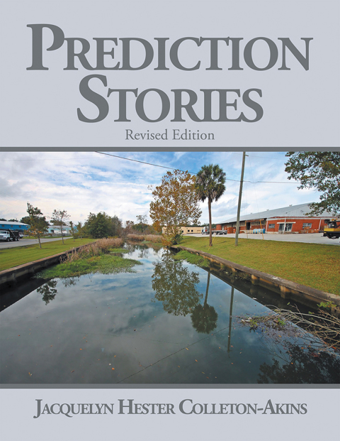Cover image for book Prediction Stories
