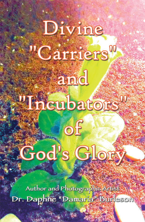 Cover image for book Divine "Carriers" and "Incubators" of God's Glory