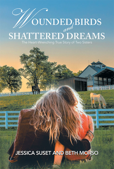 Cover image for book Wounded Birds  and   Shattered Dreams