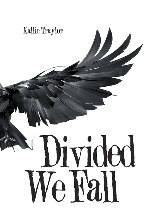 Cover image for book Divided We Fall