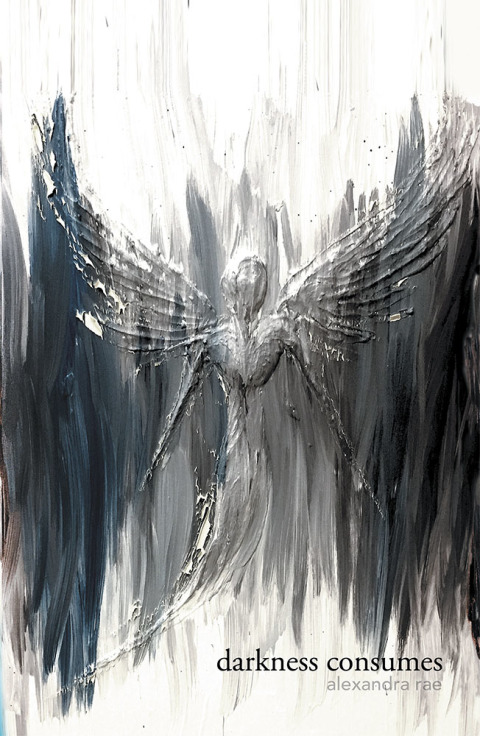 Cover image for book Darkness Consumes Light Empowers