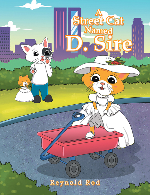 Cover image for book A Street Cat Named D. Sire