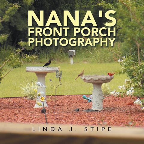 Cover image for book Nana's Front Porch Photography