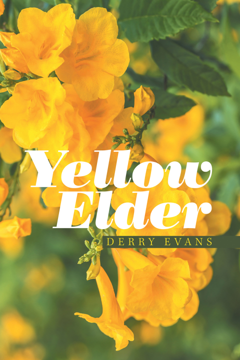 Cover image for book Yellow Elder