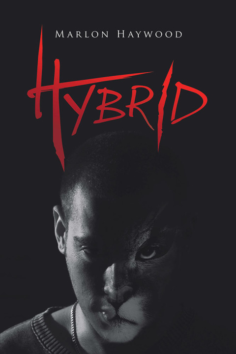 Cover image for book Hybrid
