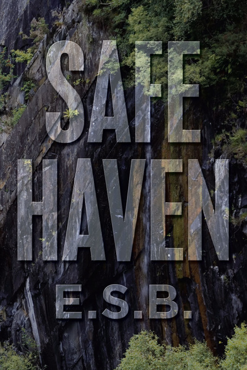 Cover image for book Safe Haven