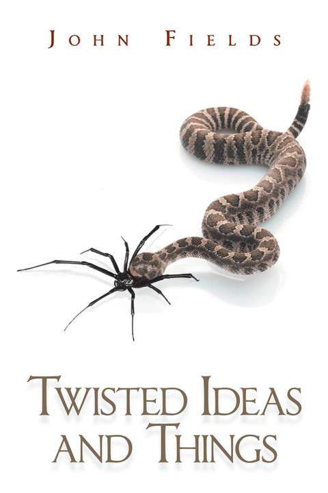 Cover image for book Twisted Ideas and Things