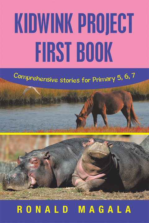 Cover image for book Kidwink Project First Book