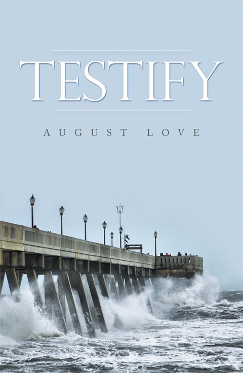 Cover image for book Testify