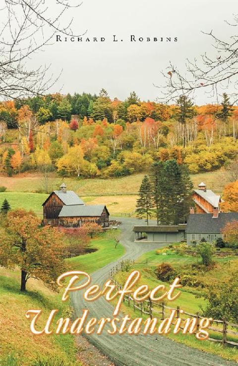 Cover image for book Perfect Understanding