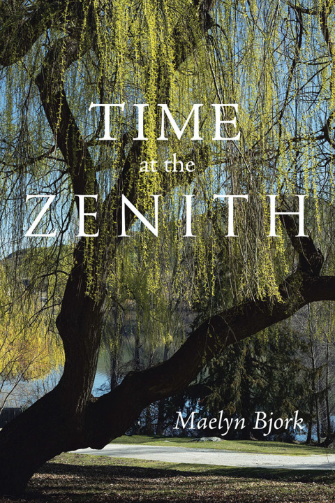 Cover image for book Time at the Zenith