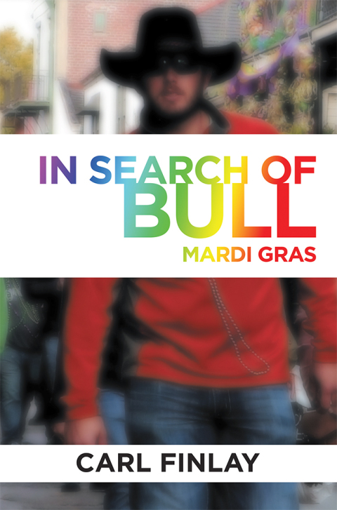 Cover image for book In Search of Bull
