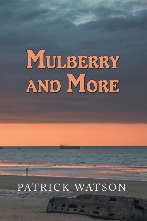Cover image for book Mulberry and More