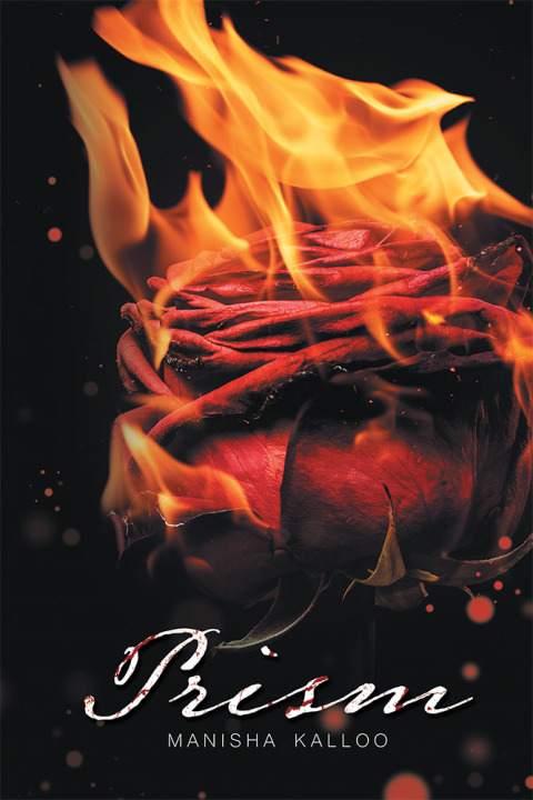 Cover image for book Prism
