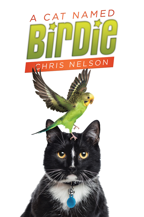 Cover image for book A Cat Named Birdie