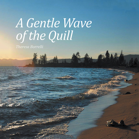 Cover image for book A Gentle Wave of the Quill