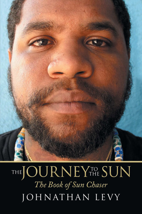 Cover image for book The Journey to the Sun