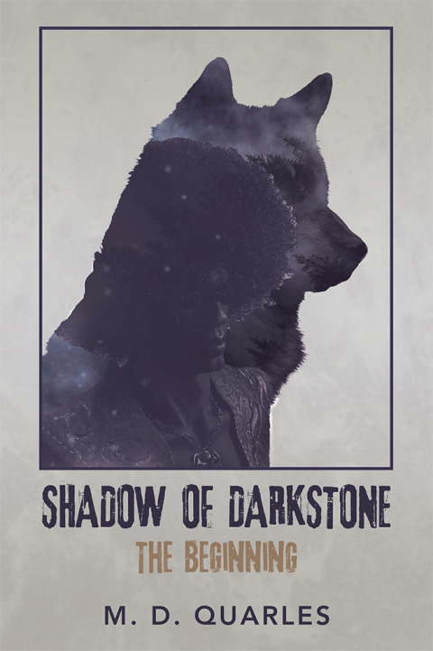 Cover image for book Shadow of Darkstone