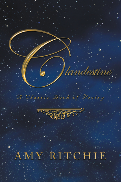 Cover image for book Clandestine