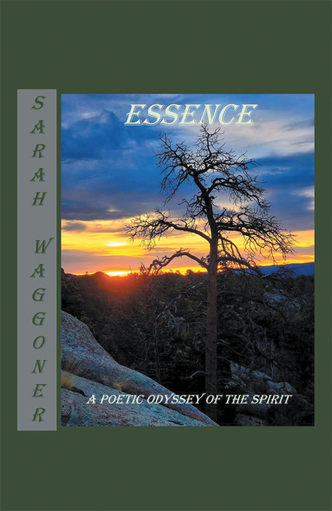 Cover image for book Essence