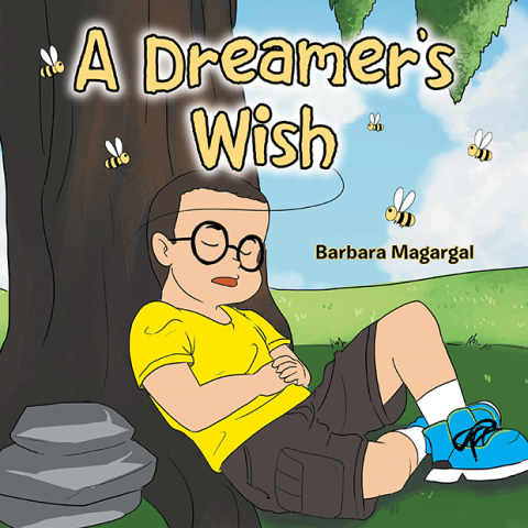 Cover image for book A Dreamer's Wish