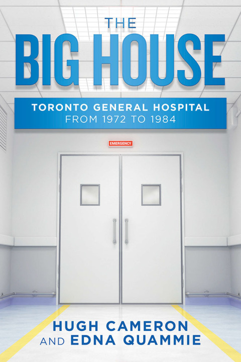 Cover image for book The Big House