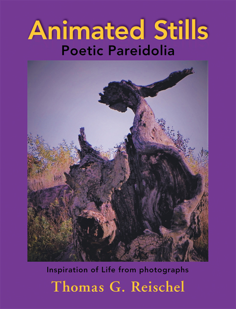 Cover image for book Animated Stills