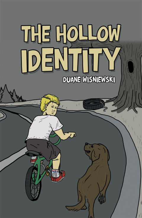 Cover image for book The Hollow Identity