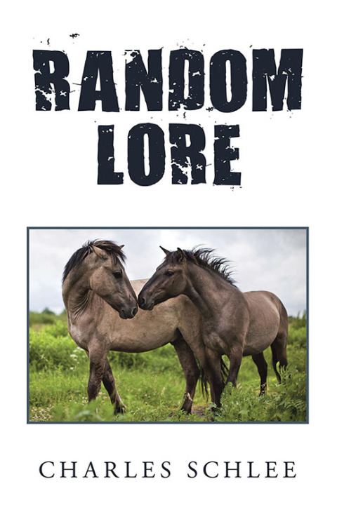 Cover image for book Random Lore