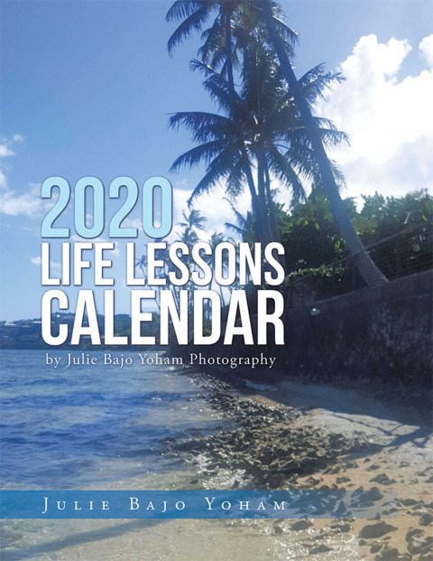 Cover image for book 2020 Life Lessons Calendar