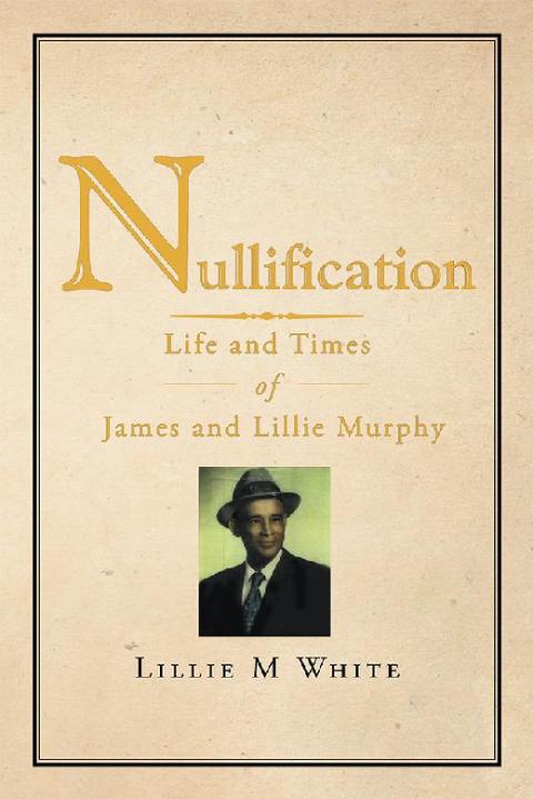 Cover image for book Nullification