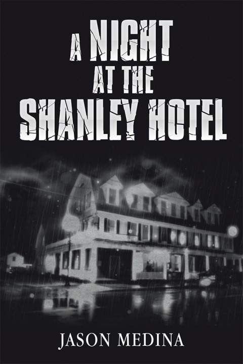 Cover image for book A Night at the Shanley Hotel