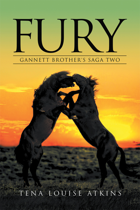 Cover image for book Fury