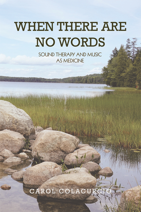 Cover image for book When There Are No Words