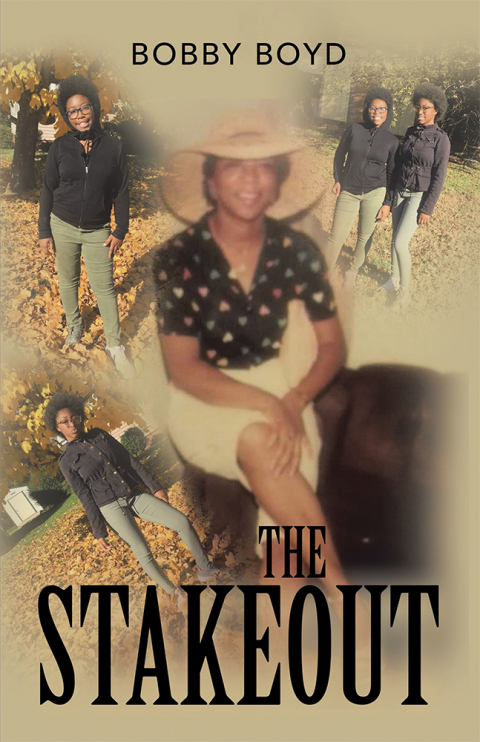 Cover image for book The Stakeout