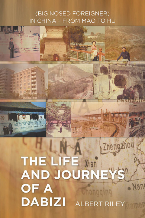 Cover image for book The Life and Journeys of a Dabizi