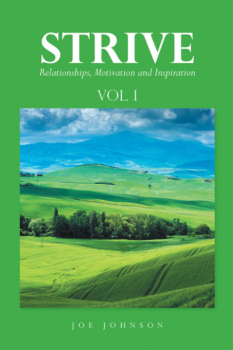 Cover image for book Strive