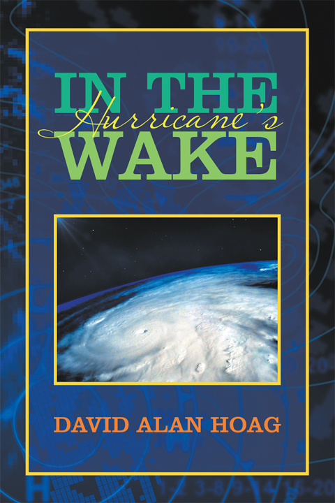 Cover image for book In the Hurricane's Wake