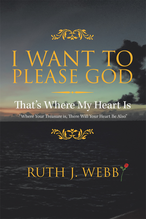 Cover image for book I Want to Please God