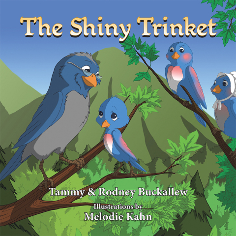 Cover image for book The Shiny Trinket