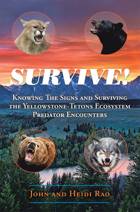 Cover image for book Survive!