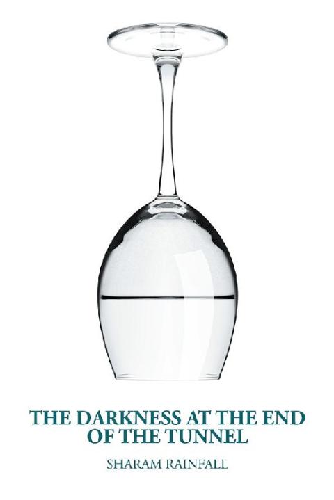 Cover image for book The Darkness at the End of the Tunnel