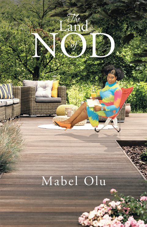 Cover image for book The Land of Nod