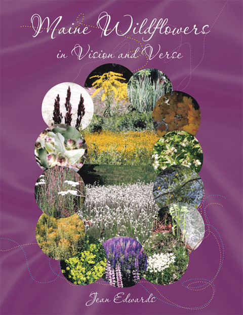 Cover image for book Maine Wildflowers in Vision and Verse