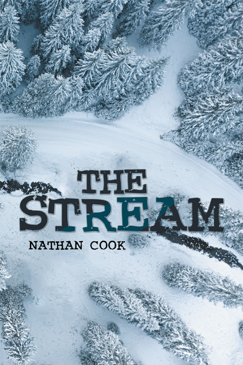 Cover image for book The Stream
