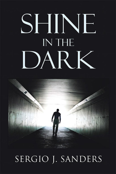 Cover image for book Shine in the Dark