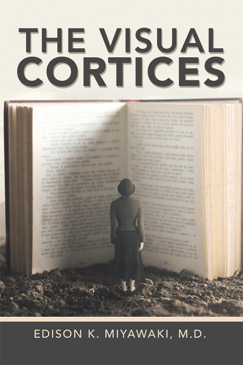 Cover image for book The Visual Cortices