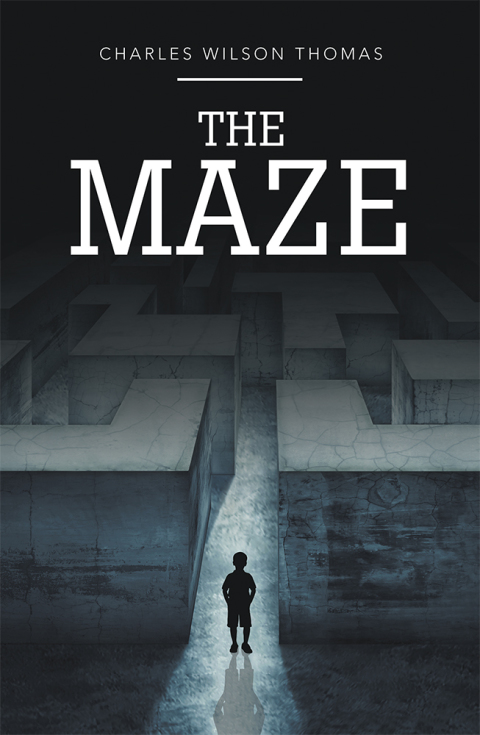 Cover image for book The Maze